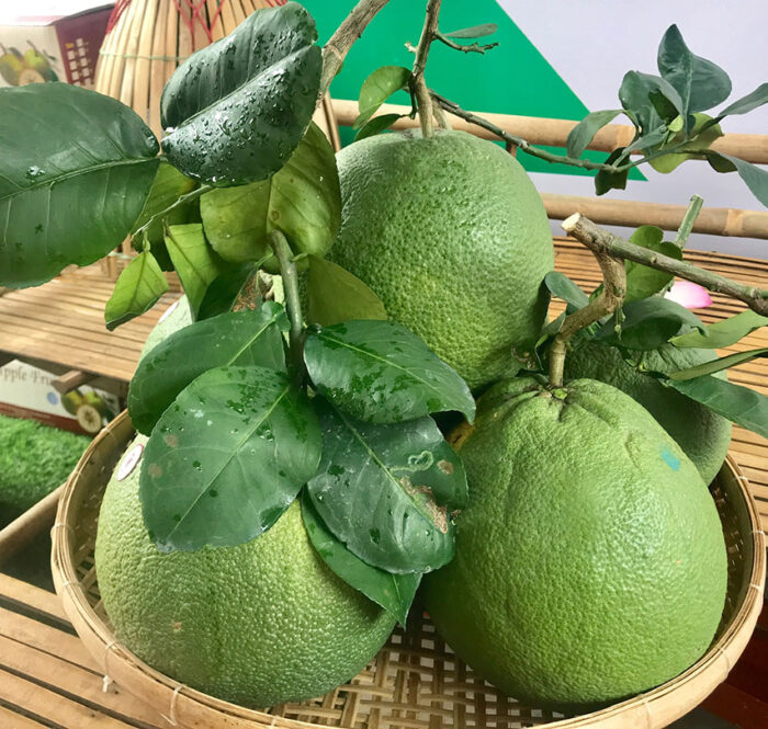 Việt Nam là thị trường cung cấp trái bưởi lớn thứ 25 cho EU 27.