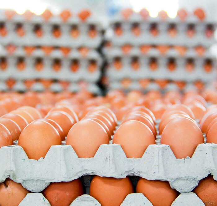 Hạn ngạch thuế quan nhập khẩu muối trứng gà