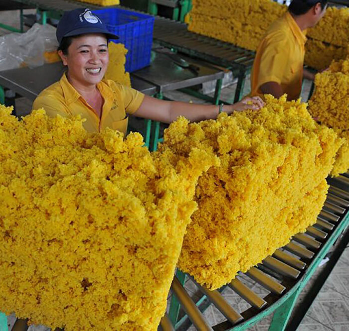 Trung Quốc chi 1,5 tỷ nhập khẩu cao su Việt Nam