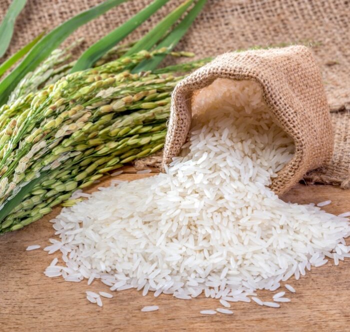 Giá gạo xuất khẩu Việt Nam duy trì trên 500 USD/tấn trong tuần qua