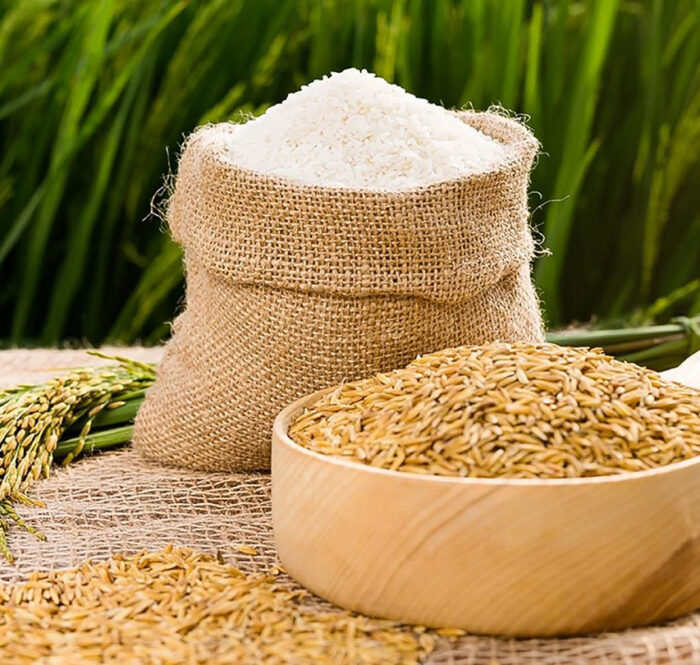 Xuất khẩu gạo giảm hơn 31% trong hai tháng đầu năm