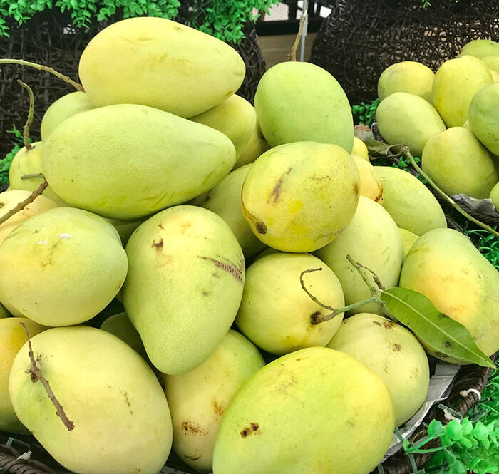 5 tháng đầu năm 2021, xuất khẩu hàng rau quả ước đạt 1,77 tỷ USD. (Ảnh: Như Huỳnh)