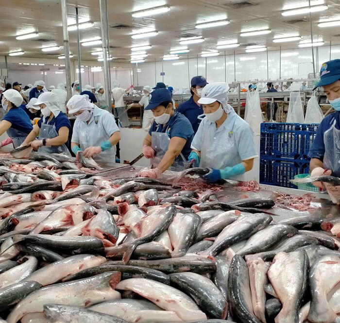 Xuất khẩu thủy sản sang Mỹ tăng gần 25%