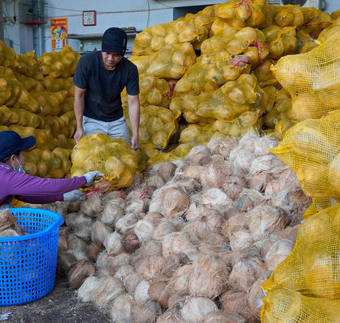 Giá dừa khô tăng gấp đôi sau giãn cách