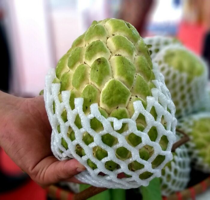 Nhà vườn tìm đầu ra cho na 'khổng lồ', chuối tím đỏ