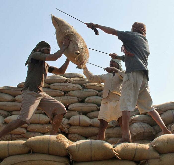 Xuất khẩu gạo Ấn Độ bị gián đoạn nghiêm trọng vì thiếu tàu vận chuyển