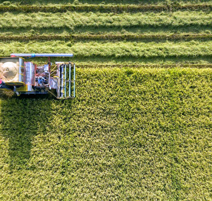 VN-TL thồng nhất tăng giá gạo xuất khẩu vào tháng 10