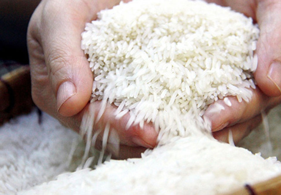 Xuất khẩu gạo 10 tháng mang về gần 3 tỷ USD
