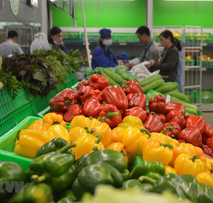 Thị trường Trung Quốc được khơi thông, xuất khẩu rau quả kỳ vọng bứt phá