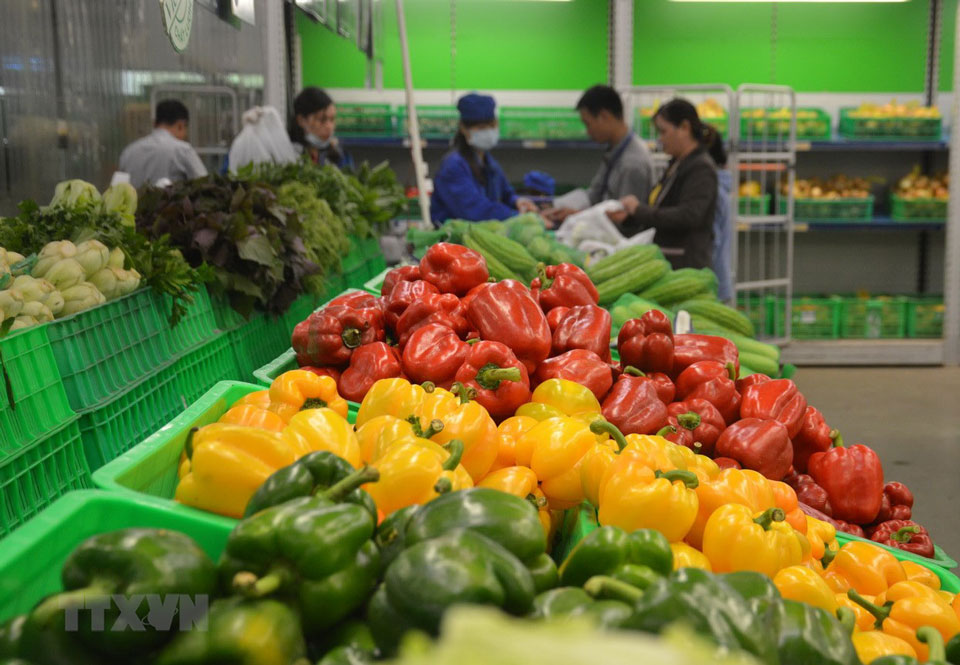 Thị trường Trung Quốc được khơi thông, xuất khẩu rau quả kỳ vọng bứt phá