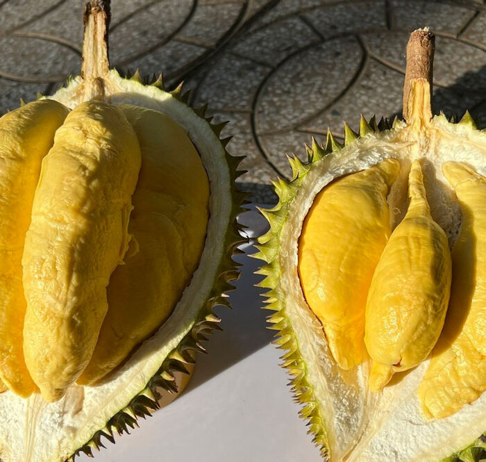 Chiêu lừa 'sầu riêng giá rẻ 35.000 đồng một kg'