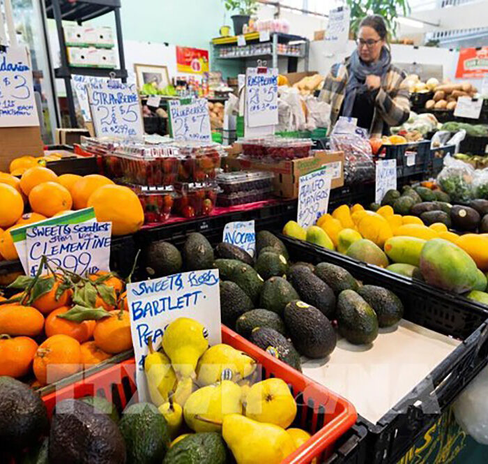 FAO: Giá lương thực thế giới giảm 12 tháng liên tiếp