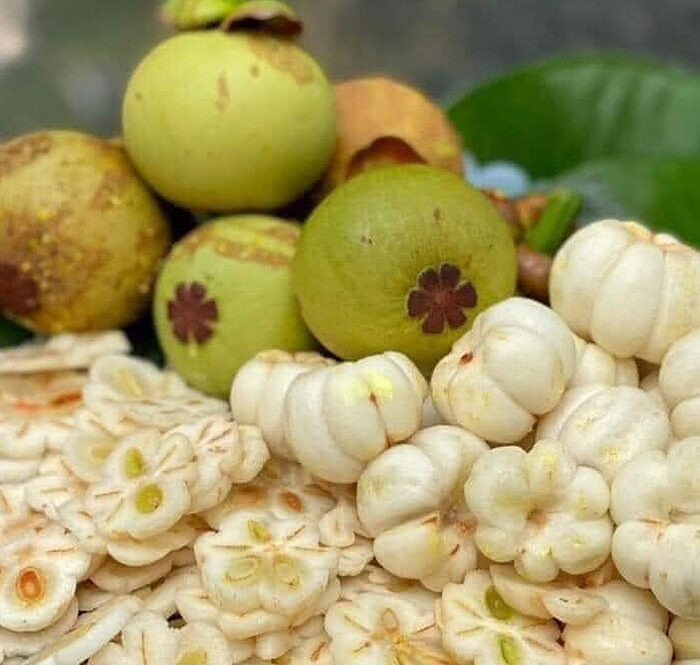 Măng cụt xanh được các cửa hàng sơ chế để bán cho khách hàng ở TP HCM. Ảnh: Kim Ngân