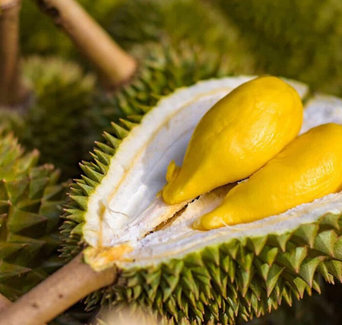 Sầu riêng tiếp tục rớt giá