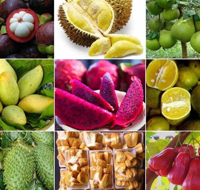 Xuất khẩu rau củ quả tăng 1.4 tỷ usd