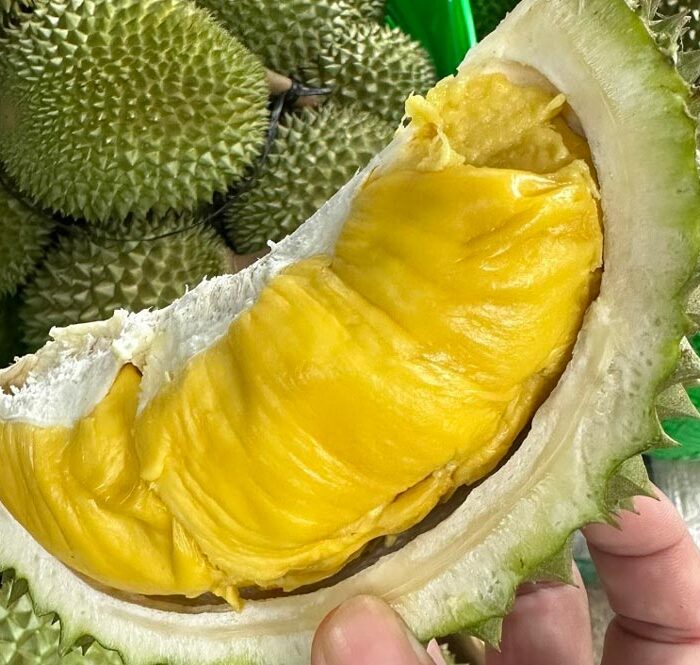 Sầu riêng Musan King rớt giá 1 nữa