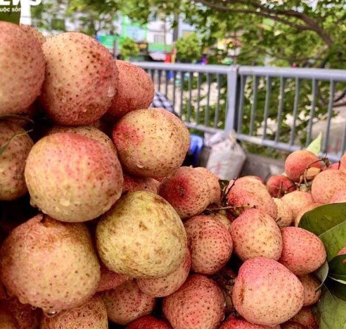 Vải thiều miền Bắc ồ ạt vào Nam