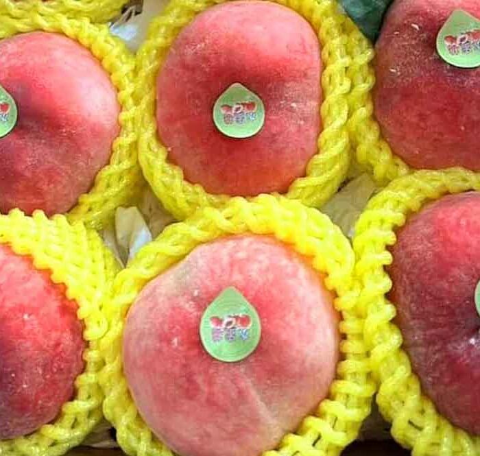 Một hộp đào tiên Trung Quốc 6 trái được bán giá gần 500.000 đồng. Ảnh: Linh Đan