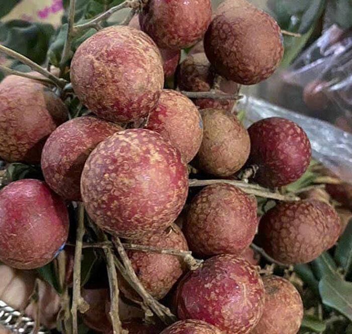 Nhãn tím hết thời sốt giá