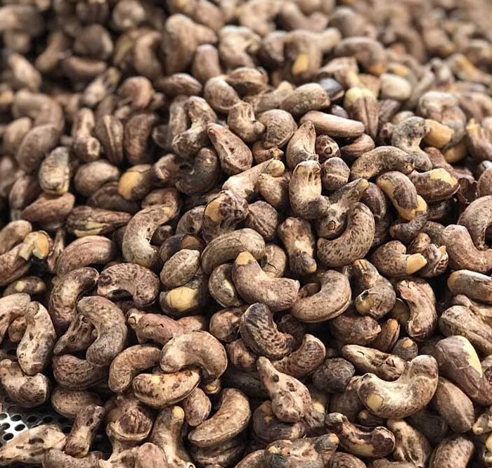 Xuất khẩu điều khởi sắc - Vinacas cảnh báo về an toàn thực phẩm