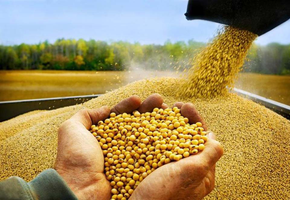 Bộ Tài chính không đồng ý giảm thuế nhập khẩu khô dầu đậu tương về 0%