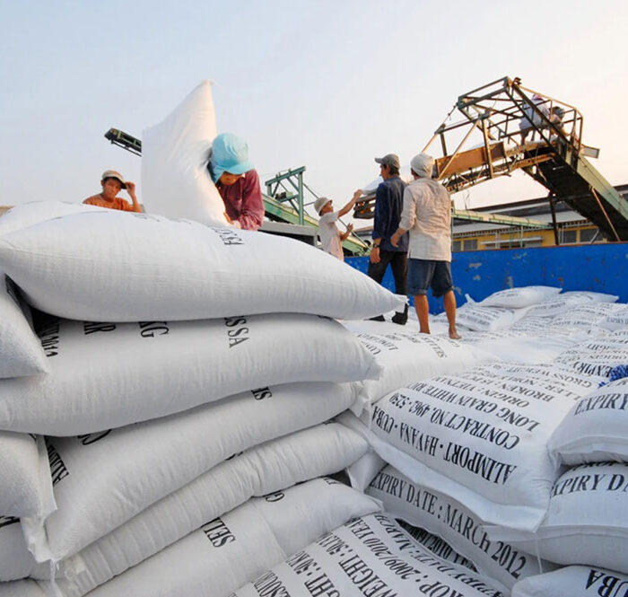 Nhu cầu nhập khẩu gạo ở các nước tăng cao