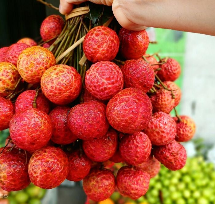 Thùng vải thiều tại cửa hàng nhà chị Loan được khách mua gần hết từ sáng 10/6 (5 tháng 5 âm lịch). Ảnh: Thi Hà