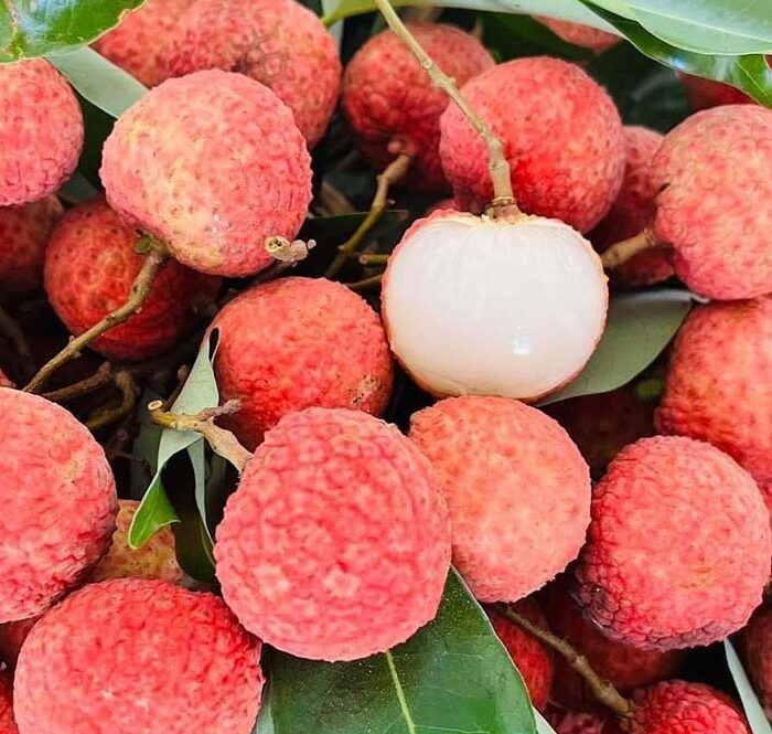 Chuyến vải cuối cùng tại cửa hàng nhà chị Ngọc được bán hết trong ngày 26/6. Ảnh: Nguyễn Ngọc