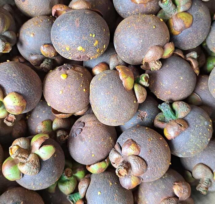 Măng cụt Lái Thiêu được bán trên các chợ online với giá sỉ 115.000 đồng 3 kg. Ảnh: Nhân vật cung cấp