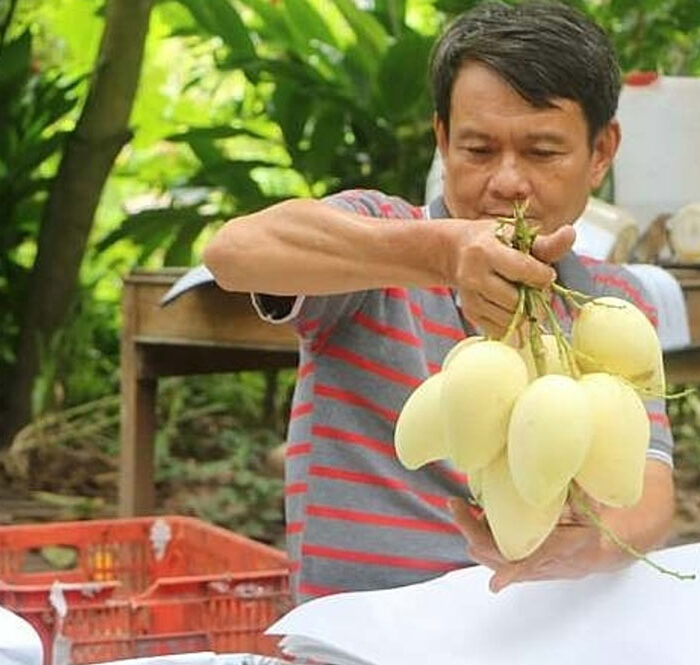 Nhiều hàng Việt được người Hàn Quốc ưa chuộng