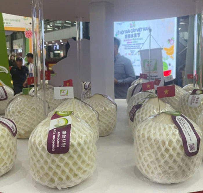 Dừa Việt Nam được trưng bày tại hội chợ cuối tháng 9 tại Trung Quốc. Ảnh: Đăng Khoa