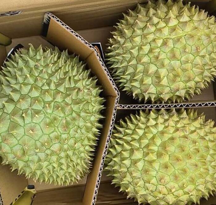 Xuất khẩu gần 1000 tấn sầu riêng đầu năm