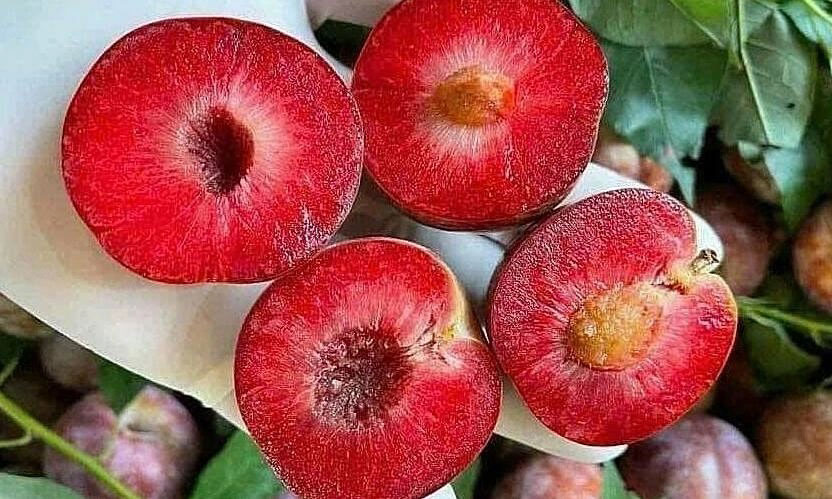 Mận hậu được rao bán trên chợ mạng. Ảnh: Hội buôn bán mận