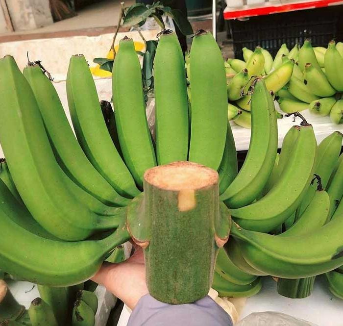 Chuối xanh bày tết giá lên tới hơn nữa triệu đồng
