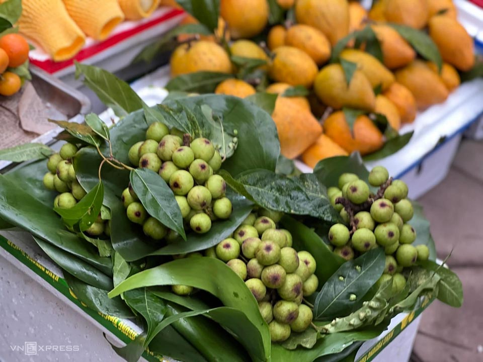 Quả sung bày mâm ngũ quả giá 300.000 đồng một kg, ngày 12/2. Ảnh: Phương Hoàng