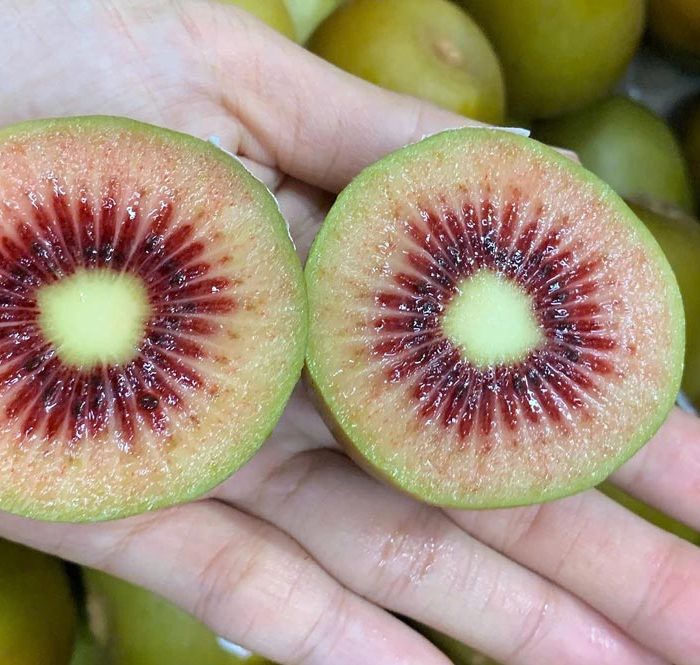 Kiwi ruột đỏ được bán tại cửa hàng trái cây nhập khẩu ở TP HCM. Ảnh: Thanh Lộc