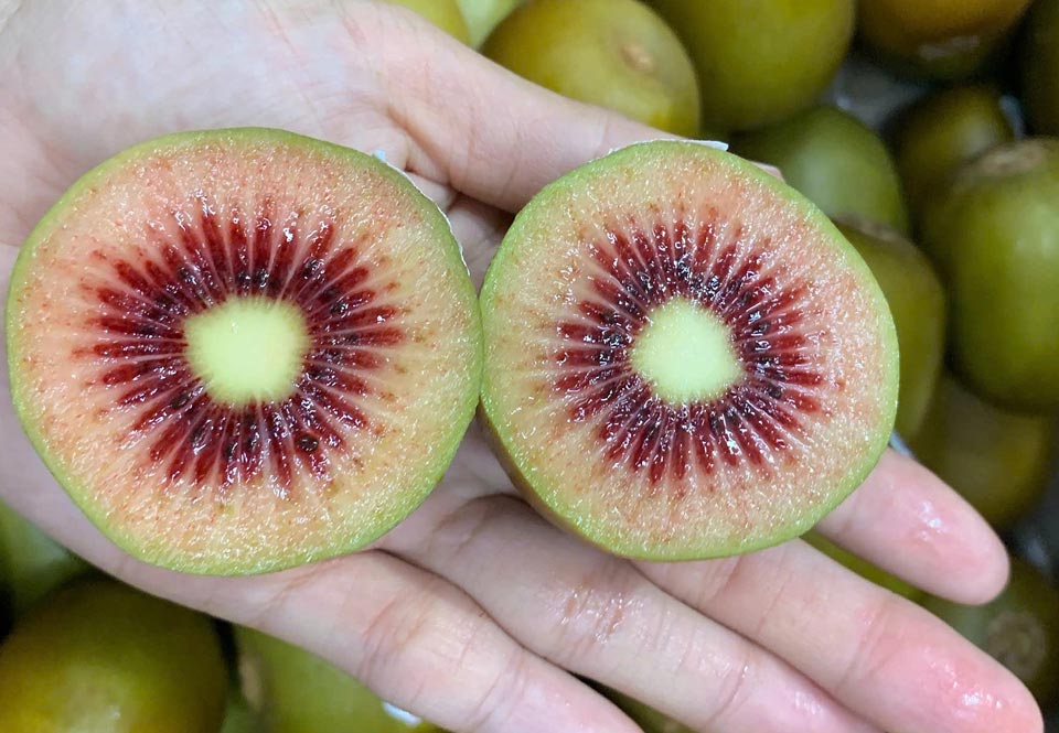 Kiwi ruột đỏ được bán tại cửa hàng trái cây nhập khẩu ở TP HCM. Ảnh: Thanh Lộc