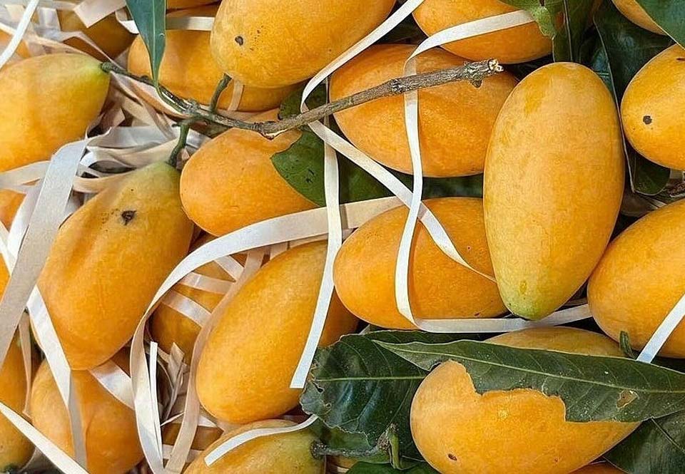 Thanh trà Thái Lan được bán tại cửa hàng trái cây ở phường Tân Thới Hiệp (TP HCM). Ảnh: Thi Hà