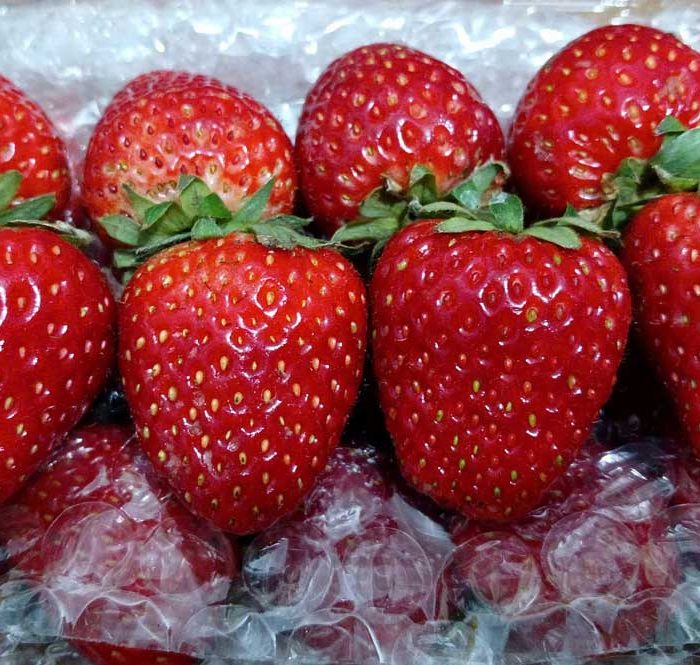 Dâu tây Sơn La được bán tại cửa hàng trái cây ở TP HCM. Ảnh: Thi Hà