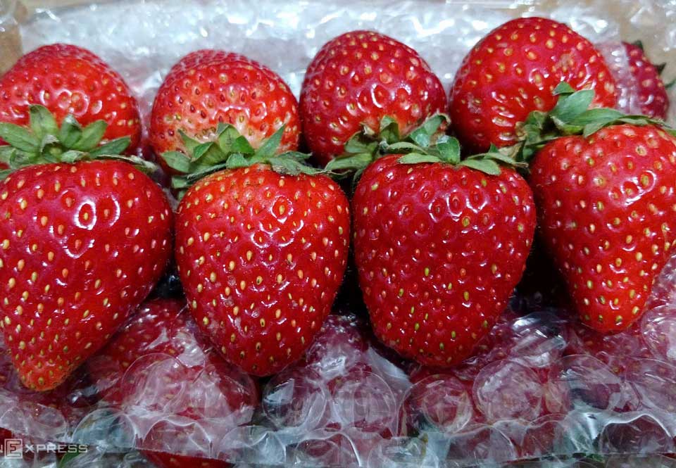 Dâu tây Sơn La được bán tại cửa hàng trái cây ở TP HCM. Ảnh: Thi Hà