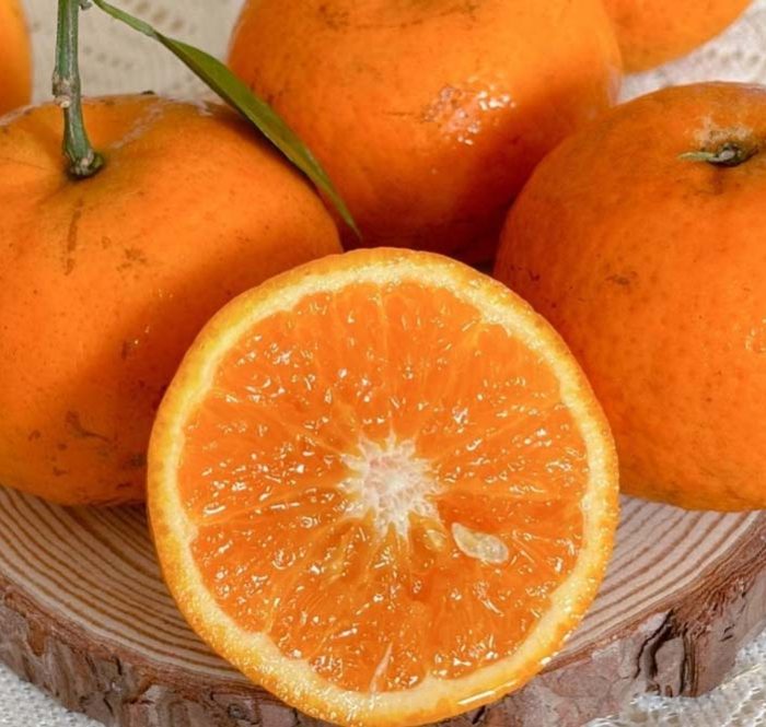 Trái cây họ cam quýt dễ gây ợ nóng, khó ngủ. Ảnh: Bảo Bảo