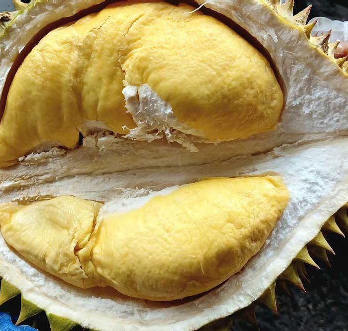 Sầu riêng Ri6 loại 4-5 hộc múi có giá 60.000 đồng một kg tại cửa hàng trên đường Lê Đức Thọ, phường An Hội Đông (TP HCM). Ảnh: Thi Hà