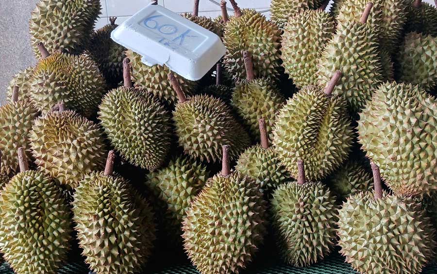Sầu riêng hàng đẹp được rao bán lẻ với giá chỉ 60.000 tại một cửa hàng ở TP HCM. Ảnh: Thi Hà