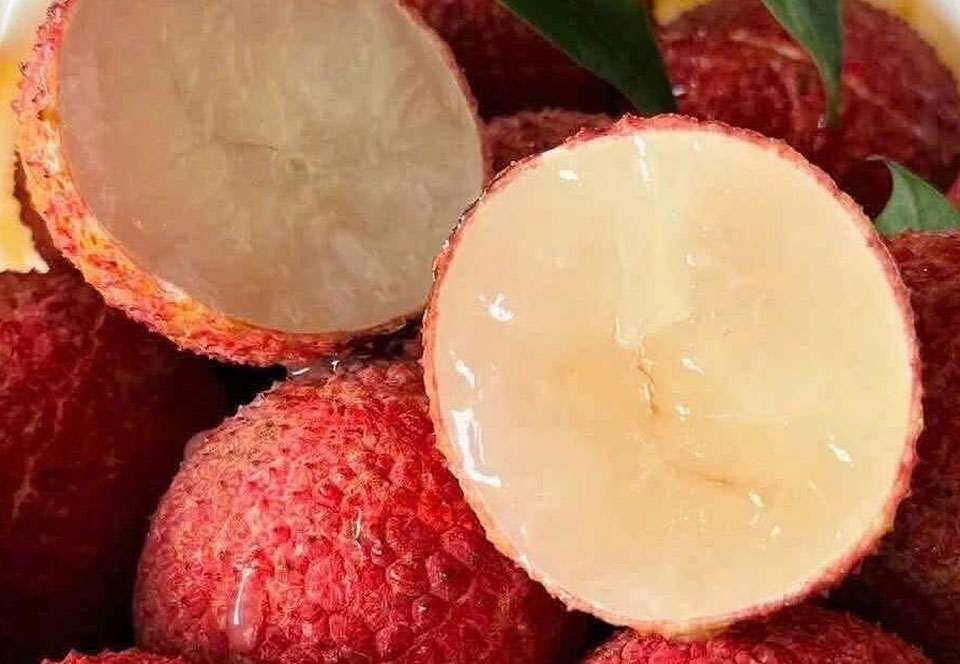 Giá vải TQ giảm giá 1 nửa