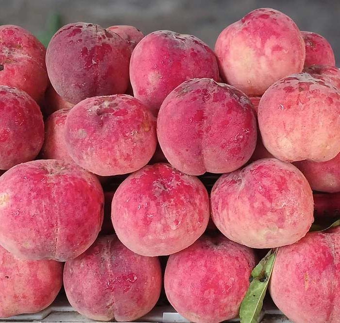 Đào tiên loại 4 quả một kg được bán tại cửa hàng trên đường Thống Nhất, phường An Hội Đông (TP HCM) ngày 16/7. Ảnh: Thi Hà