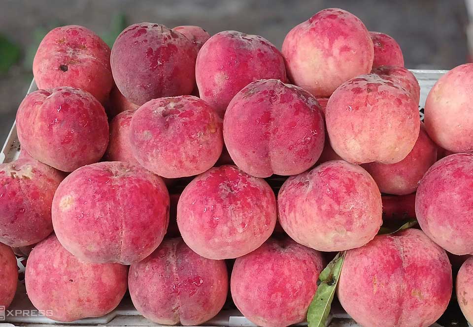 Đào tiên loại 4 quả một kg được bán tại cửa hàng trên đường Thống Nhất, phường An Hội Đông (TP HCM) ngày 16/7. Ảnh: Thi Hà