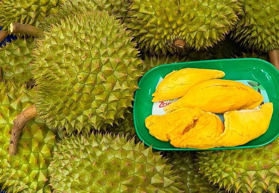 Giá sầu riêng tiếp tục lao dốc