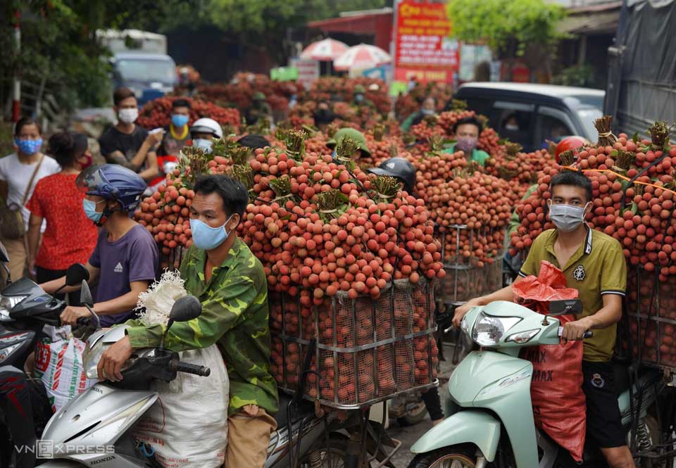 Vải thiều tại Bắc Giang cũ. Ảnh: Ngọc Thành