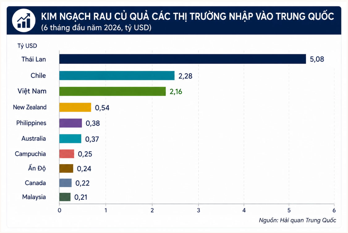 Kim nghạch rau củ quả các thị trường vào Trung Quốc