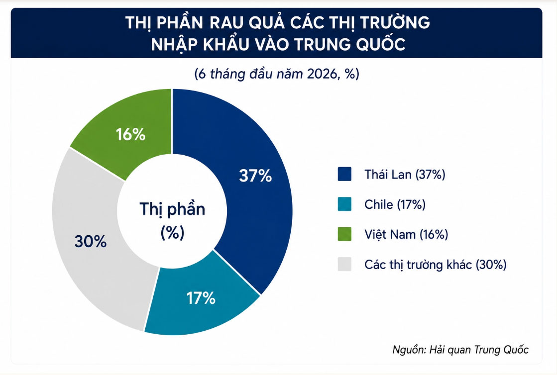 Thị phần rau củ quả các thị trường vào Trung Quốc